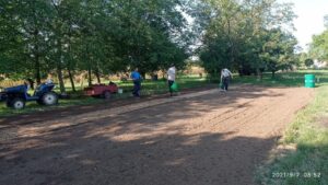 hogyan készül a búzafűlé