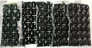 fagyasztott búzafűlé